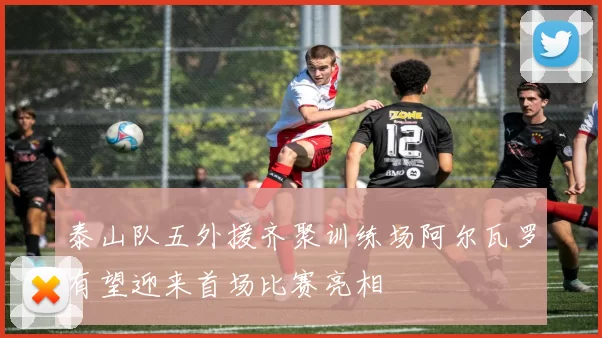 泰山队五外援齐聚训练场阿尔瓦罗有望迎来首场比赛亮相