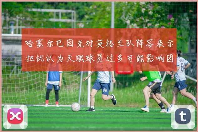 哈塞尔巴因克对英格兰队阵容表示担忧认为天赋球员过多可能影响团队合作